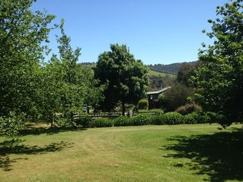 Yarraglen BnB - Whitsundays Accommodation 27