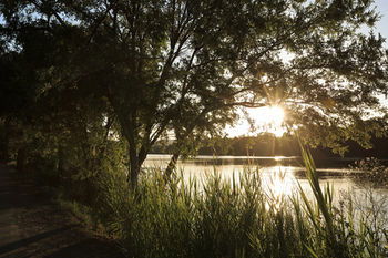 Ingenia Holidays Nepean River - Whitsundays Accommodation 41