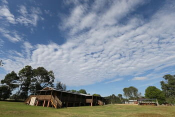Hunter Valley YHA - Hostel - Whitsundays Accommodation 20