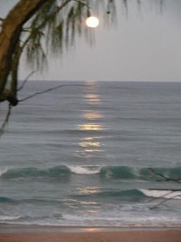 Andari - Whitsundays Accommodation 2