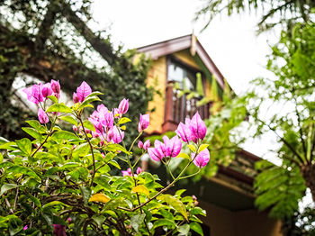 The Regents Park - Whitsundays Accommodation 3