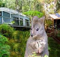 Huon Bush Retreats - Whitsundays Accommodation