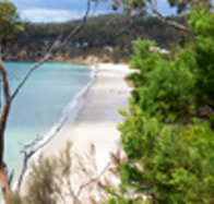 Weilangta Holiday Home - Whitsundays Accommodation