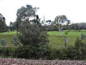 Bicheno Holiday Rentals - Hazards View Drive Coles Bay - Whitsundays Accommodation 1