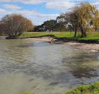 Kangaroo Lake Caravan Park - Whitsundays Accommodation