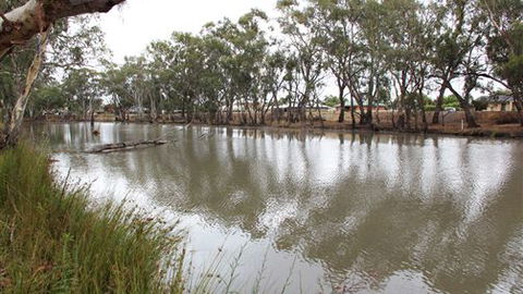 Riverbank Caravan Park - Whitsundays Accommodation 0