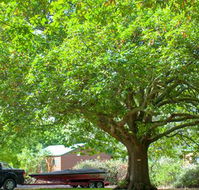 Lakes and Craters Holiday Park - Whitsundays Accommodation