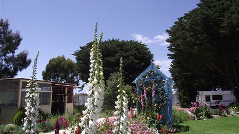 Colac Otway Caravan & Cabin Park - Whitsundays Accommodation 1