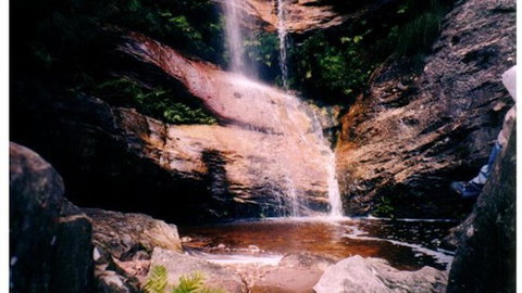 Happy Wanderer Holiday Resort - Whitsundays Accommodation 1