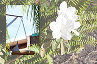 Cleveland Visitor Villas Motel - Whitsundays Accommodation 2