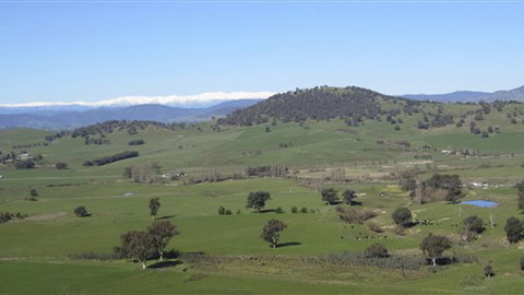 Rancho Relaxo - Whitsundays Accommodation 0