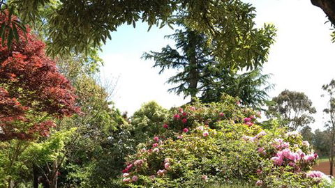 Chestnut Springs - Whitsundays Accommodation 2