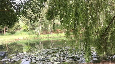 Chestnut Springs - Whitsundays Accommodation 7