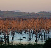 Salisbury - Whitsundays Accommodation