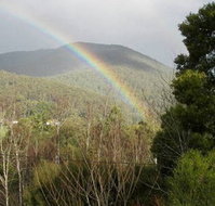 Wattletree Cottage - Whitsundays Accommodation