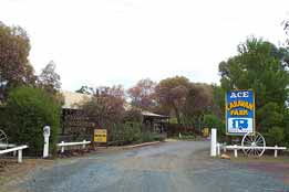 Ace Caravan Park - Whitsundays Accommodation 0