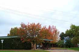 Allambie Motel Pty Ltd - Whitsundays Accommodation 0