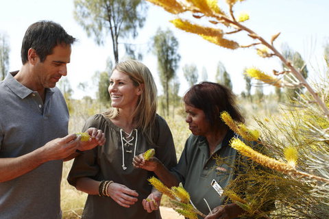 Ayers Rock Campground - Whitsundays Accommodation 2