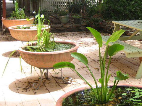 Burwood Bed & Breakfast - Whitsundays Accommodation 3