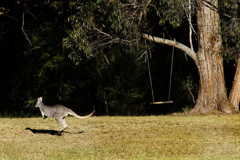 Cottages On Mount View - Whitsundays Accommodation 1
