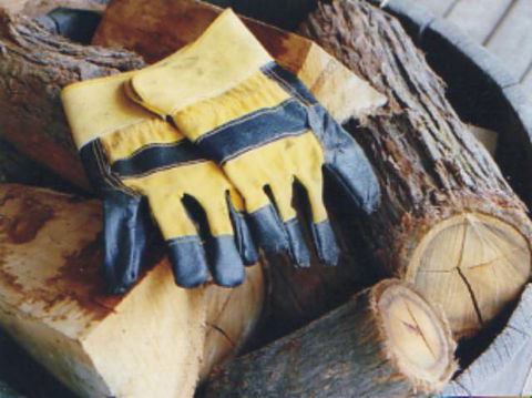 Cottages On Mount View - Whitsundays Accommodation 3