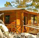 Cradle Chalet - Whitsundays Accommodation