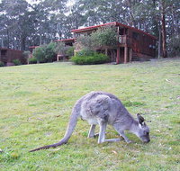 Jenolan Caves Cottages - Whitsundays Accommodation