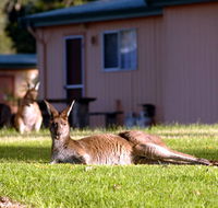 Kalgan River Chalets  Caravan Park - Whitsundays Accommodation