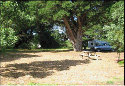 Millicent Hillview Caravan Park - Whitsundays Accommodation 4