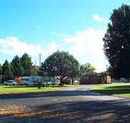 Molong Caravan Park - Whitsundays Accommodation