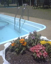 Motel Gunning - Whitsundays Accommodation 0