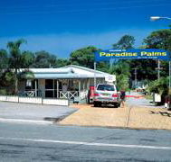 Paradise Palms Carey Bay - Whitsundays Accommodation