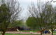 Penshurst Caravan Park - thumb 3