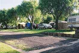 Poplar Caravan Park - Whitsundays Accommodation 3