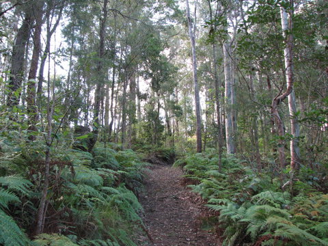 Maleny Country Cottages - Whitsundays Accommodation 1