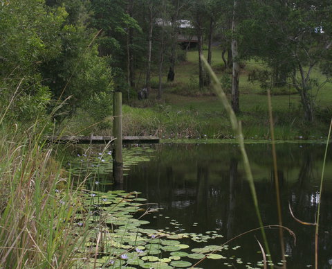 Maleny Country Cottages - Whitsundays Accommodation 4