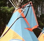 Central Coast Eco Tours - Whitsundays Accommodation