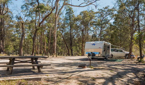 Cypress-pine Campground - Whitsundays Accommodation 1
