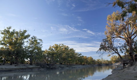 Darling River Campground - Whitsundays Accommodation 0