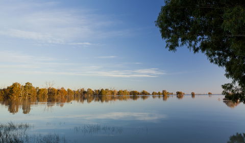Darling River Campground - Whitsundays Accommodation 2