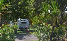 Darlington Point Riverside Caravan Park - Whitsundays Accommodation 1