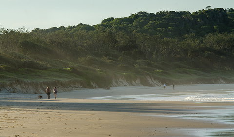 Delicate Campground - Whitsundays Accommodation 1