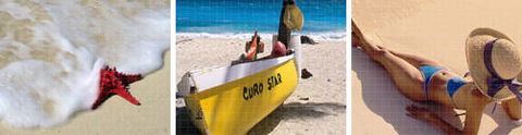 Sunnyside Caravan Park - Whitsundays Accommodation 0
