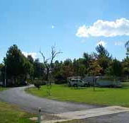 Wairo Beach Tourist Park - Whitsundays Accommodation