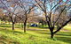 Wellington Caves Caravan Park - thumb 0