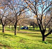 Wellington Caves Caravan Park - Whitsundays Accommodation