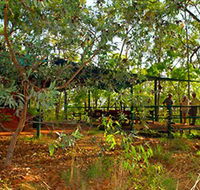 Arnhemland Barramundi Nature Lodge - Whitsundays Accommodation