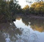 Four Mile Camping Reserve - Whitsundays Accommodation