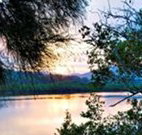 Tweed Coast Holiday Parks Hastings Point - Whitsundays Accommodation