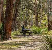 Koreelah Creek campground - Whitsundays Accommodation